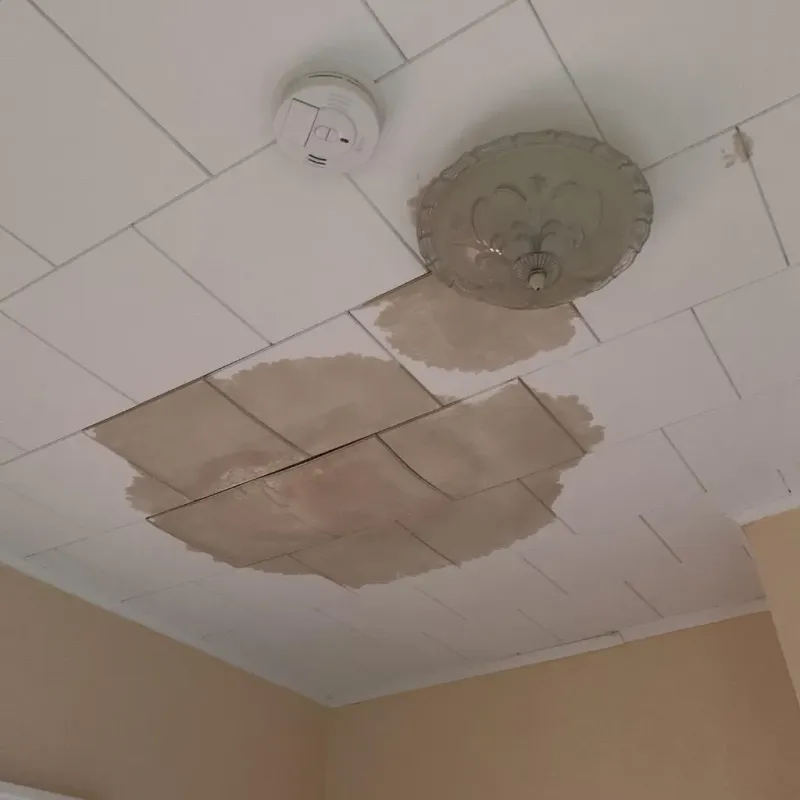 Ceiling Water Damage Repair in Roseau County, MN