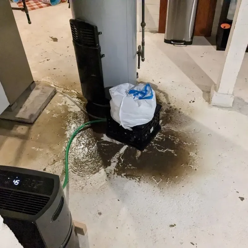 Sewage Backup Cleanup Service in Roseau County, MN